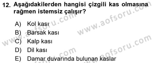 Temel Veteriner Histoloji ve Embriyoloji Dersi 2020 - 2021 Yılı Yaz Okulu Sınav Soruları 12. Soru