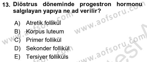 Temel Veteriner Histoloji ve Embriyoloji Dersi 2020 - 2021 Yılı Yaz Okulu Sınav Soruları 13. Soru