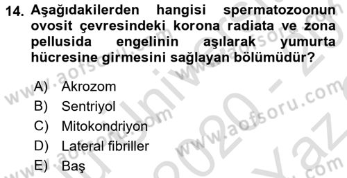 Temel Veteriner Histoloji ve Embriyoloji Dersi 2020 - 2021 Yılı Yaz Okulu Sınav Soruları 14. Soru