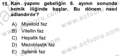 Temel Veteriner Histoloji ve Embriyoloji Dersi 2020 - 2021 Yılı Yaz Okulu Sınav Soruları 15. Soru