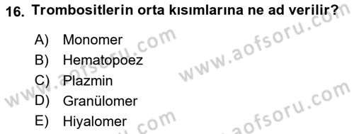 Temel Veteriner Histoloji ve Embriyoloji Dersi 2020 - 2021 Yılı Yaz Okulu Sınav Soruları 16. Soru