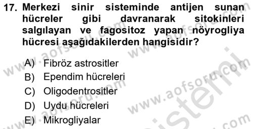 Temel Veteriner Histoloji ve Embriyoloji Dersi 2020 - 2021 Yılı Yaz Okulu Sınav Soruları 17. Soru