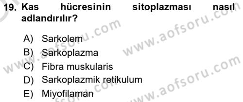 Temel Veteriner Histoloji ve Embriyoloji Dersi 2020 - 2021 Yılı Yaz Okulu Sınav Soruları 19. Soru