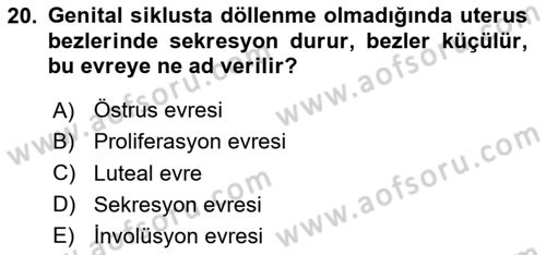 Temel Veteriner Histoloji ve Embriyoloji Dersi 2020 - 2021 Yılı Yaz Okulu Sınav Soruları 20. Soru