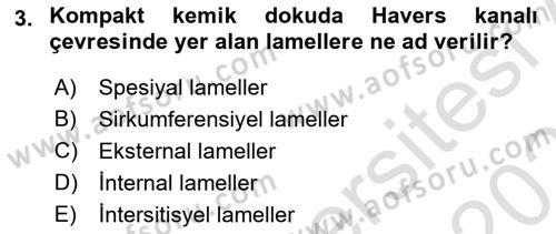 Temel Veteriner Histoloji ve Embriyoloji Dersi 2020 - 2021 Yılı Yaz Okulu Sınav Soruları 3. Soru