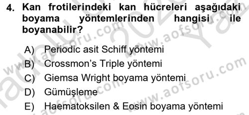 Temel Veteriner Histoloji ve Embriyoloji Dersi 2020 - 2021 Yılı Yaz Okulu Sınav Soruları 4. Soru