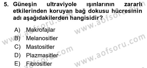 Temel Veteriner Histoloji ve Embriyoloji Dersi 2020 - 2021 Yılı Yaz Okulu Sınav Soruları 5. Soru