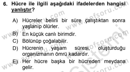 Temel Veteriner Histoloji ve Embriyoloji Dersi 2020 - 2021 Yılı Yaz Okulu Sınav Soruları 6. Soru