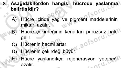 Temel Veteriner Histoloji ve Embriyoloji Dersi 2020 - 2021 Yılı Yaz Okulu Sınav Soruları 8. Soru