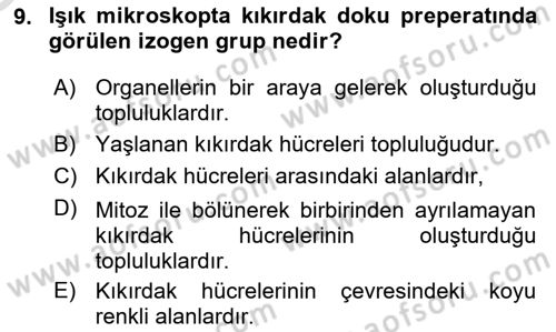 Temel Veteriner Histoloji ve Embriyoloji Dersi 2020 - 2021 Yılı Yaz Okulu Sınav Soruları 9. Soru