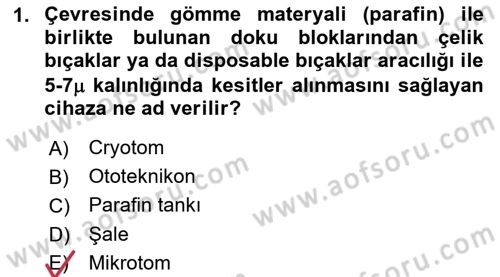 Temel Veteriner Histoloji ve Embriyoloji Dersi Ara Sınavı Deneme Sınav Soruları 1. Soru