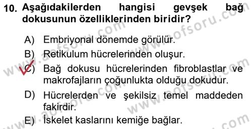 Temel Veteriner Histoloji ve Embriyoloji Dersi Ara Sınavı Deneme Sınav Soruları 10. Soru