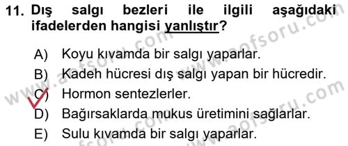 Temel Veteriner Histoloji ve Embriyoloji Dersi 2021 - 2022 Yılı (Vize) Ara Sınav Soruları 11. Soru