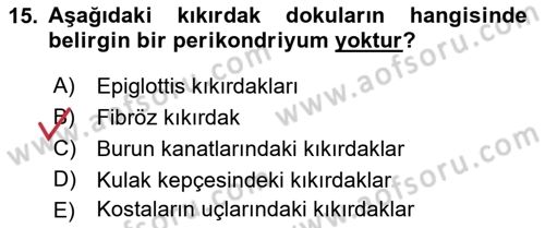 Temel Veteriner Histoloji ve Embriyoloji Dersi 2021 - 2022 Yılı (Vize) Ara Sınav Soruları 15. Soru