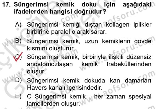 Temel Veteriner Histoloji ve Embriyoloji Dersi Ara Sınavı Deneme Sınav Soruları 17. Soru