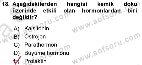 Temel Veteriner Histoloji ve Embriyoloji Dersi Ara Sınavı Deneme Sınav Soruları 18. Soru