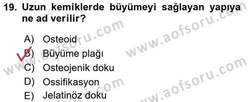 Temel Veteriner Histoloji ve Embriyoloji Dersi Ara Sınavı Deneme Sınav Soruları 19. Soru