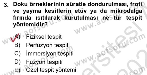 Temel Veteriner Histoloji ve Embriyoloji Dersi 2021 - 2022 Yılı (Vize) Ara Sınav Soruları 3. Soru