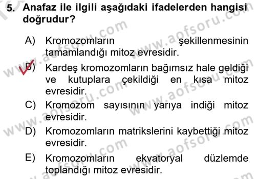 Temel Veteriner Histoloji ve Embriyoloji Dersi Ara Sınavı Deneme Sınav Soruları 5. Soru