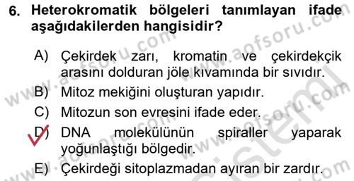 Temel Veteriner Histoloji ve Embriyoloji Dersi 2021 - 2022 Yılı (Vize) Ara Sınav Soruları 6. Soru