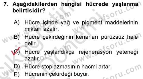 Temel Veteriner Histoloji ve Embriyoloji Dersi Ara Sınavı Deneme Sınav Soruları 7. Soru