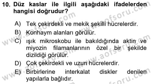 Temel Veteriner Histoloji ve Embriyoloji Dersi 2021 - 2022 Yılı (Final) Dönem Sonu Sınav Soruları 10. Soru