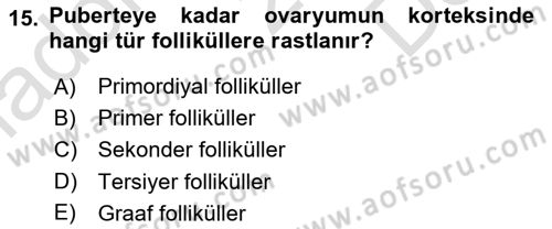 Temel Veteriner Histoloji ve Embriyoloji Dersi 2021 - 2022 Yılı (Final) Dönem Sonu Sınav Soruları 15. Soru
