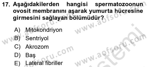 Temel Veteriner Histoloji ve Embriyoloji Dersi 2021 - 2022 Yılı (Final) Dönem Sonu Sınav Soruları 17. Soru