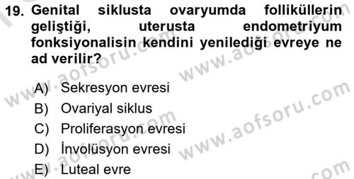 Temel Veteriner Histoloji ve Embriyoloji Dersi 2021 - 2022 Yılı (Final) Dönem Sonu Sınav Soruları 19. Soru