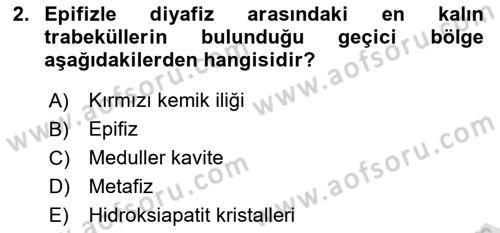 Temel Veteriner Histoloji ve Embriyoloji Dersi 2021 - 2022 Yılı (Final) Dönem Sonu Sınav Soruları 2. Soru
