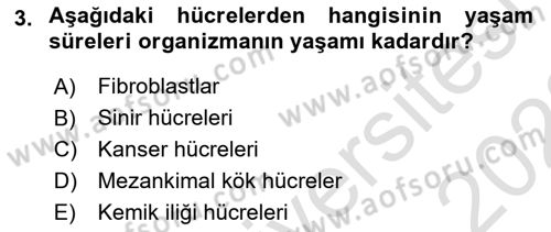 Temel Veteriner Histoloji ve Embriyoloji Dersi 2021 - 2022 Yılı (Final) Dönem Sonu Sınav Soruları 3. Soru