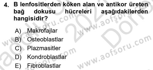 Temel Veteriner Histoloji ve Embriyoloji Dersi 2021 - 2022 Yılı (Final) Dönem Sonu Sınav Soruları 4. Soru