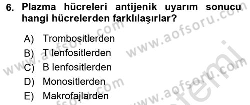 Temel Veteriner Histoloji ve Embriyoloji Dersi 2021 - 2022 Yılı (Final) Dönem Sonu Sınav Soruları 6. Soru
