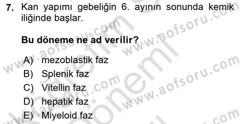 Temel Veteriner Histoloji ve Embriyoloji Dersi 2021 - 2022 Yılı (Final) Dönem Sonu Sınav Soruları 7. Soru