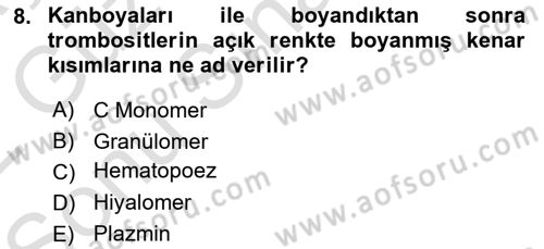 Temel Veteriner Histoloji ve Embriyoloji Dersi 2021 - 2022 Yılı (Final) Dönem Sonu Sınav Soruları 8. Soru