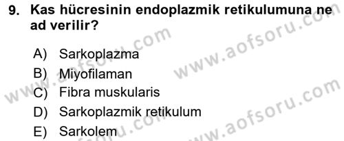 Temel Veteriner Histoloji ve Embriyoloji Dersi 2021 - 2022 Yılı (Final) Dönem Sonu Sınav Soruları 9. Soru