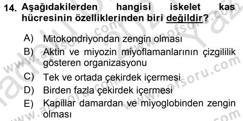 Temel Veteriner Histoloji ve Embriyoloji Dersi 2021 - 2022 Yılı Yaz Okulu Sınav Soruları 14. Soru