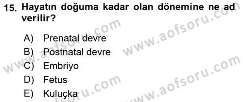 Temel Veteriner Histoloji ve Embriyoloji Dersi 2021 - 2022 Yılı Yaz Okulu Sınav Soruları 15. Soru