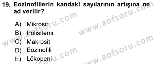 Temel Veteriner Histoloji ve Embriyoloji Dersi 2021 - 2022 Yılı Yaz Okulu Sınav Soruları 19. Soru