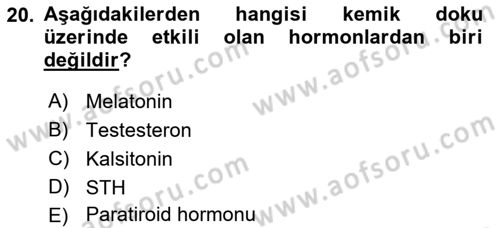 Temel Veteriner Histoloji ve Embriyoloji Dersi 2021 - 2022 Yılı Yaz Okulu Sınav Soruları 20. Soru