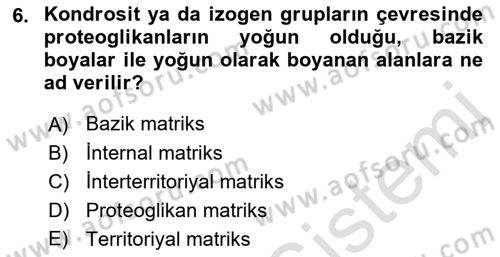 Temel Veteriner Histoloji ve Embriyoloji Dersi 2021 - 2022 Yılı Yaz Okulu Sınav Soruları 6. Soru