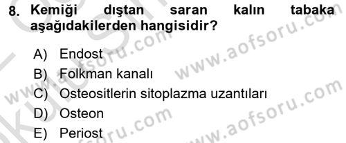 Temel Veteriner Histoloji ve Embriyoloji Dersi 2021 - 2022 Yılı Yaz Okulu Sınav Soruları 8. Soru