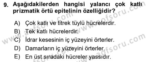 Temel Veteriner Histoloji ve Embriyoloji Dersi 2021 - 2022 Yılı Yaz Okulu Sınav Soruları 9. Soru