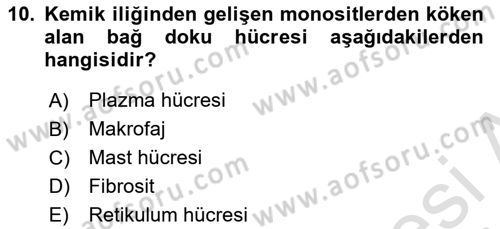 Temel Veteriner Histoloji ve Embriyoloji Dersi 2022 - 2023 Yılı (Vize) Ara Sınavı 10. Soru