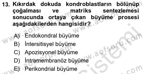 Temel Veteriner Histoloji ve Embriyoloji Dersi 2022 - 2023 Yılı (Vize) Ara Sınavı 13. Soru