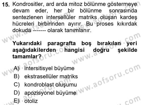 Temel Veteriner Histoloji ve Embriyoloji Dersi 2022 - 2023 Yılı (Vize) Ara Sınavı 15. Soru