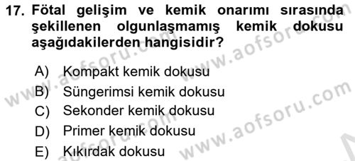 Temel Veteriner Histoloji ve Embriyoloji Dersi 2022 - 2023 Yılı (Vize) Ara Sınavı 17. Soru