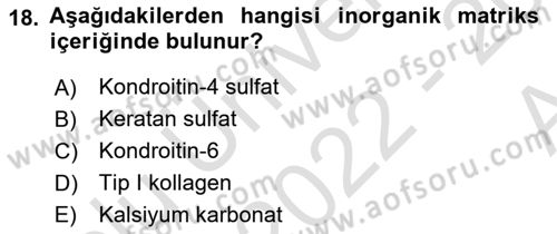 Temel Veteriner Histoloji ve Embriyoloji Dersi 2022 - 2023 Yılı (Vize) Ara Sınavı 18. Soru