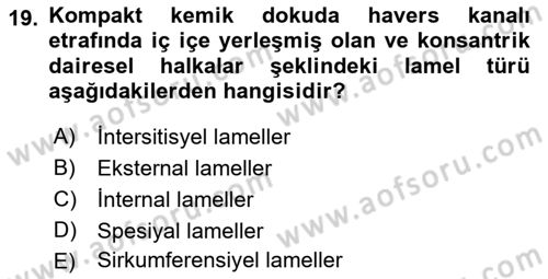 Temel Veteriner Histoloji ve Embriyoloji Dersi 2022 - 2023 Yılı (Vize) Ara Sınavı 19. Soru