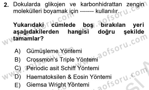 Temel Veteriner Histoloji ve Embriyoloji Dersi 2022 - 2023 Yılı (Vize) Ara Sınavı 2. Soru